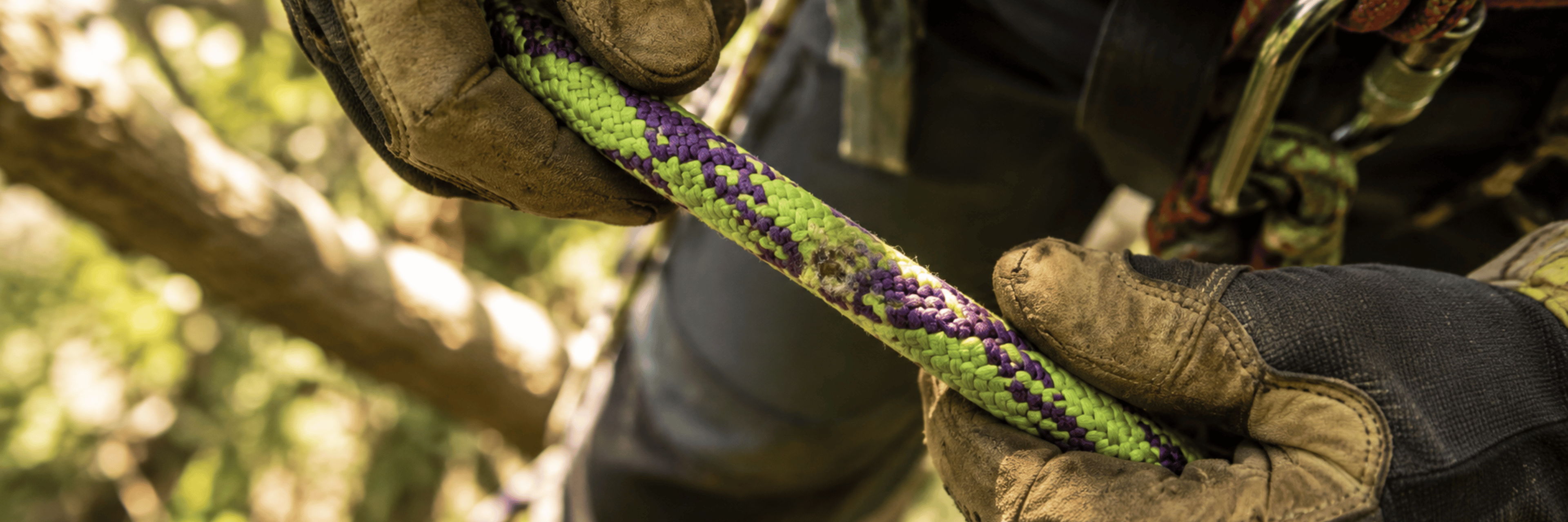 Person holding a colorful climbing rope in a natural setting.