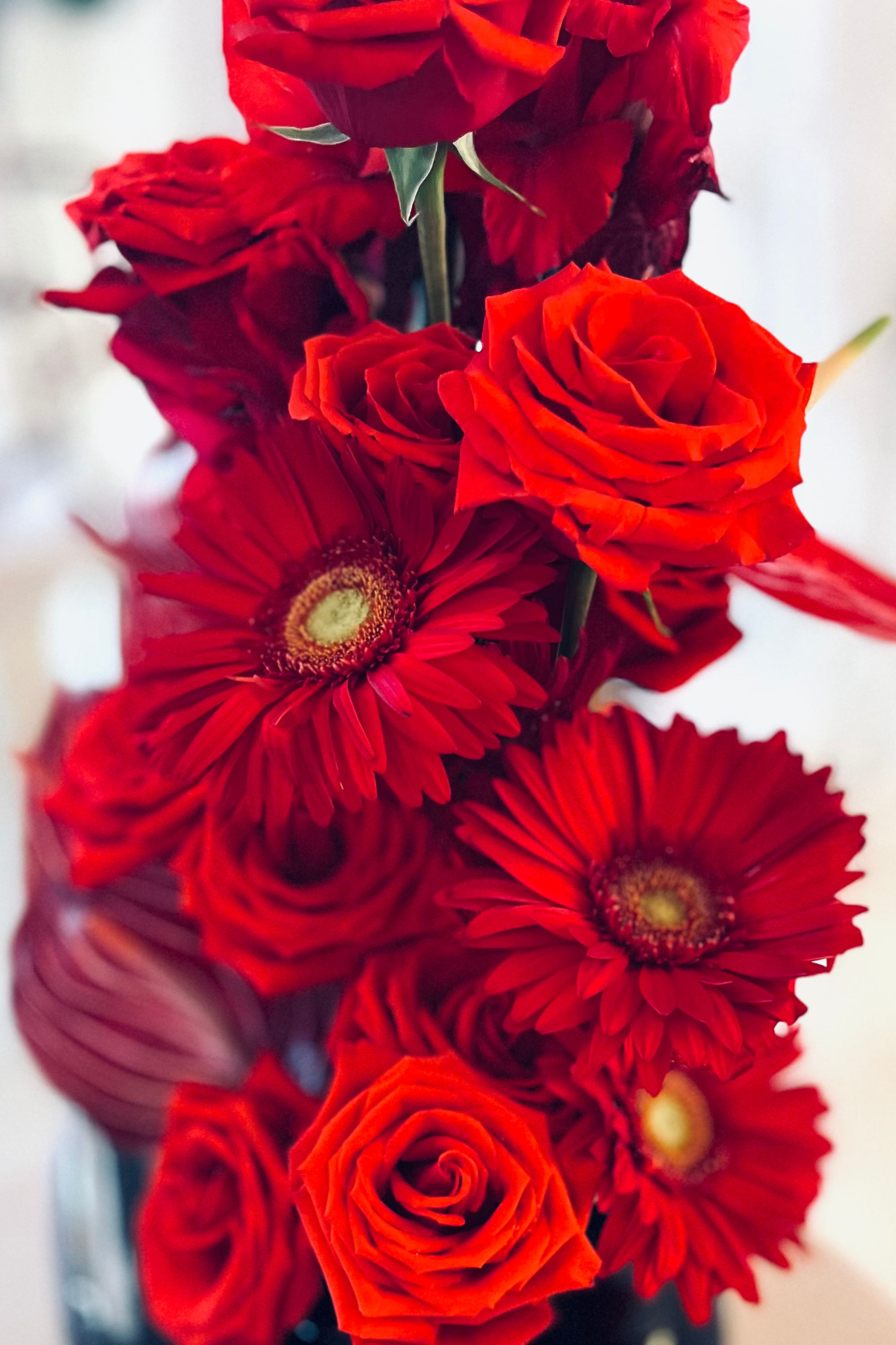 A bouquet of vibrant red roses and gerbera daisies at the Newport Flower Show in Rhode Island at the Breakers