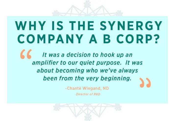 Why is the Synergy Company a B Corp? It was a decision to hook up an amplifier to our quiet purpose. It was about becoming who we've always been from the very beginning.