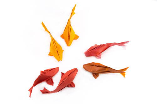 origami paper red yellow fish