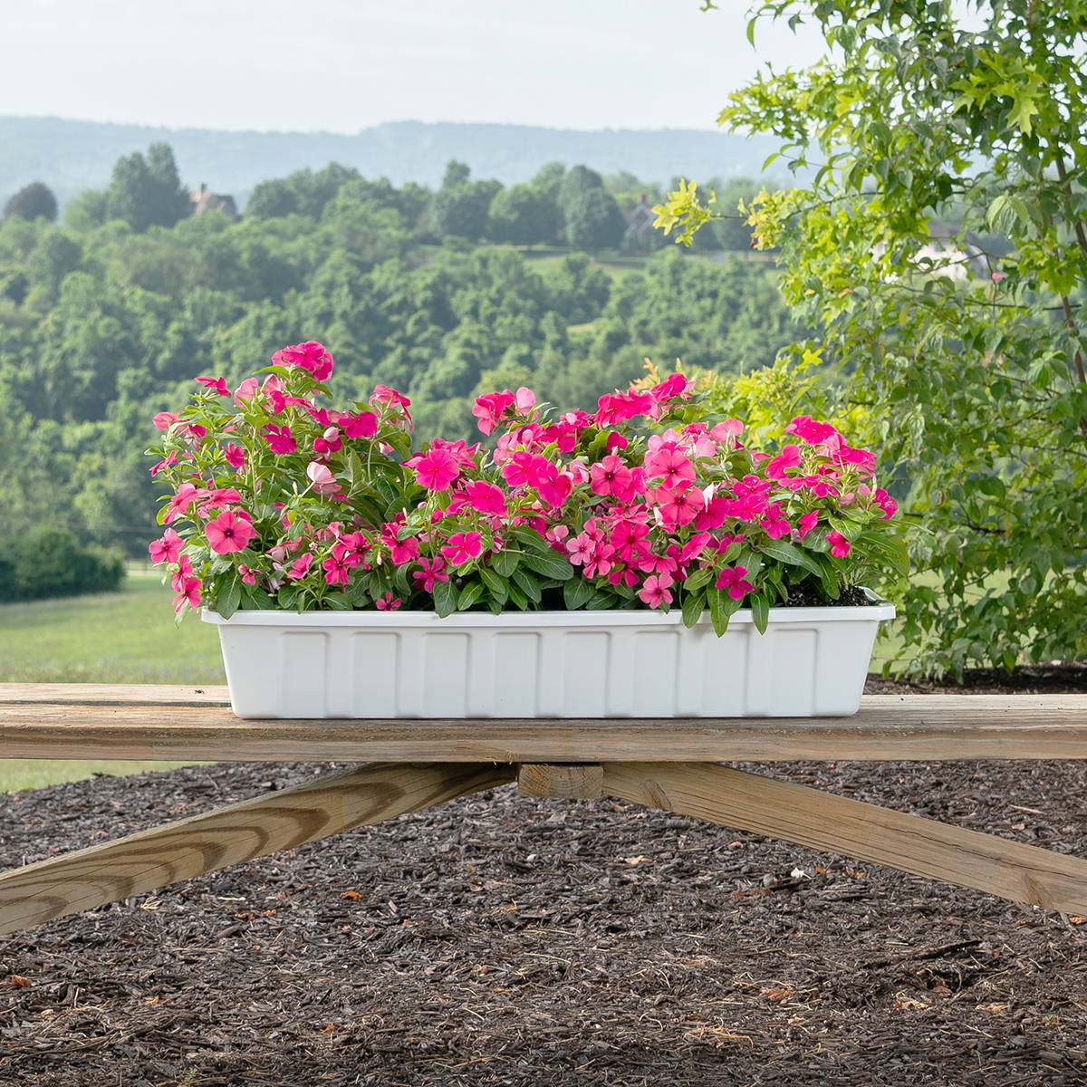 White flower box liner with pink flowers on railing post