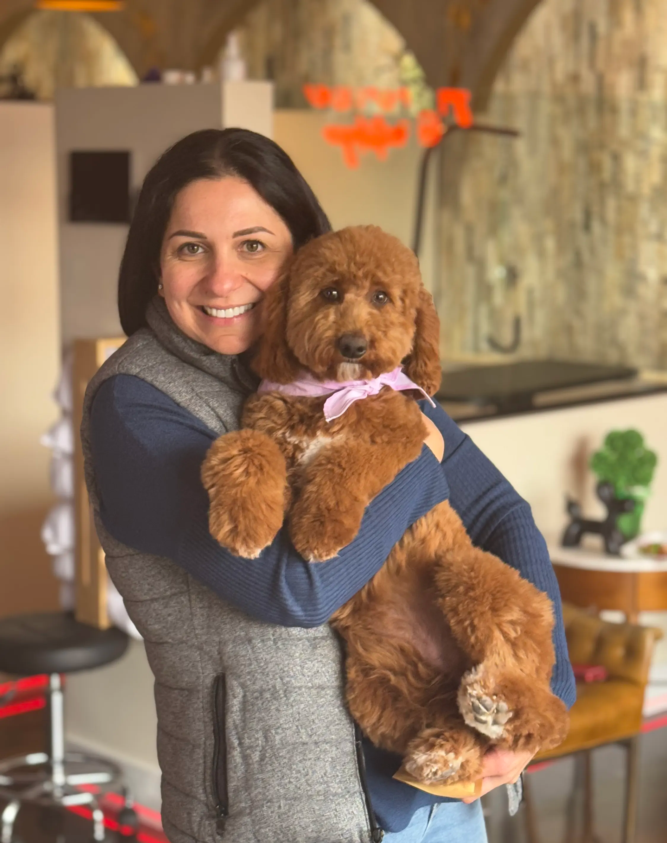 Dog held for a portrait after grooming in the salon