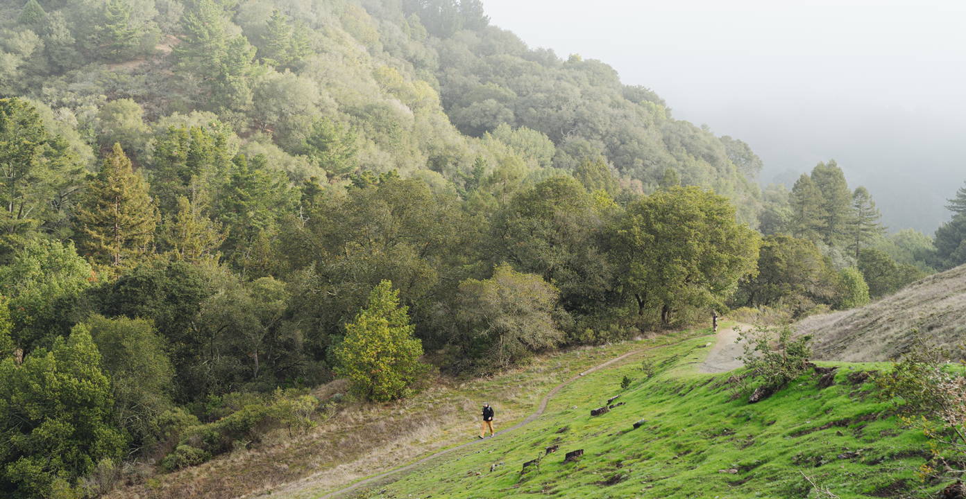 Hiking in the Foothill Pant from Edgevale