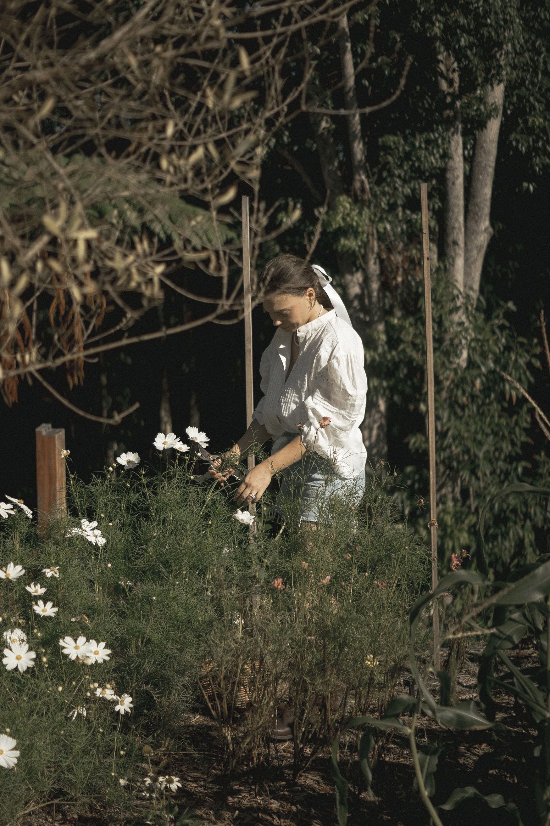 A person tending to flowers in a garden.