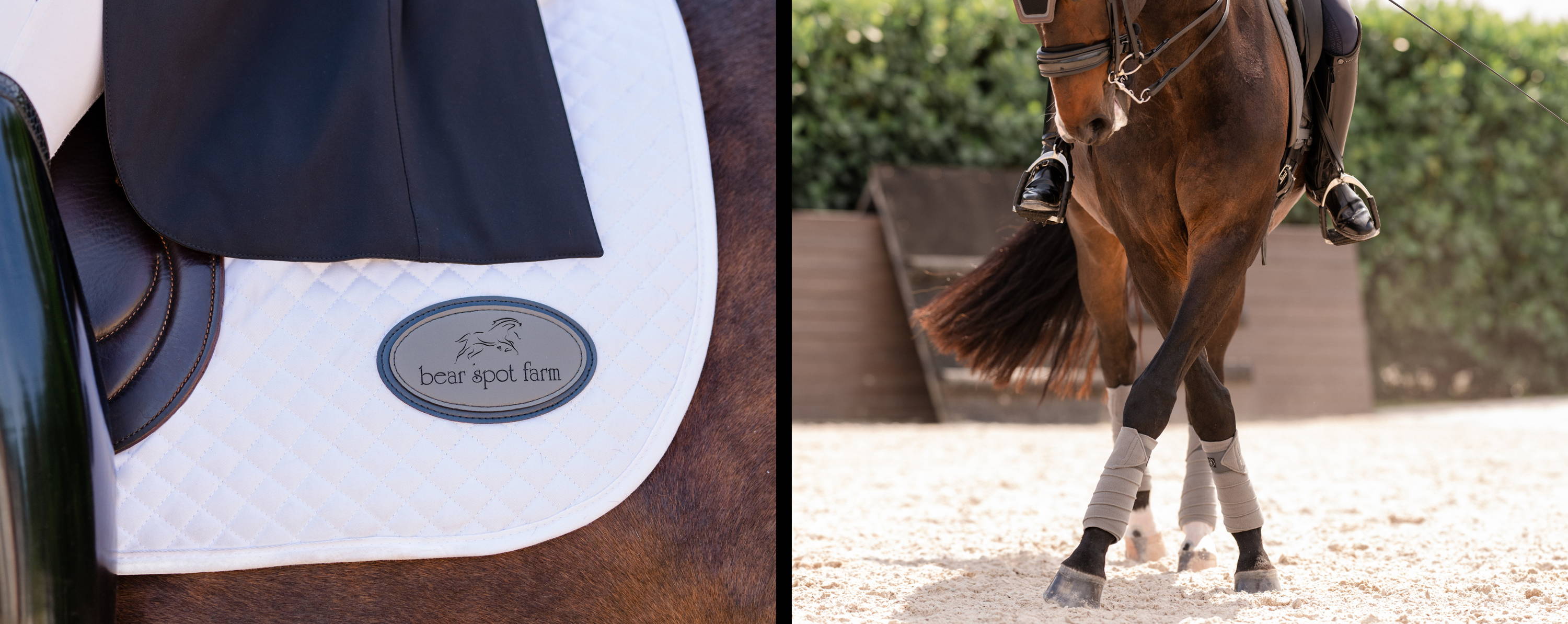 Essential Dressage Square Pad with Personalized Patch and Grey Essential Polo Wraps on Horse