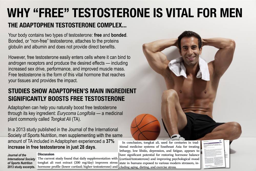 Adaptophen Testosterone Booster