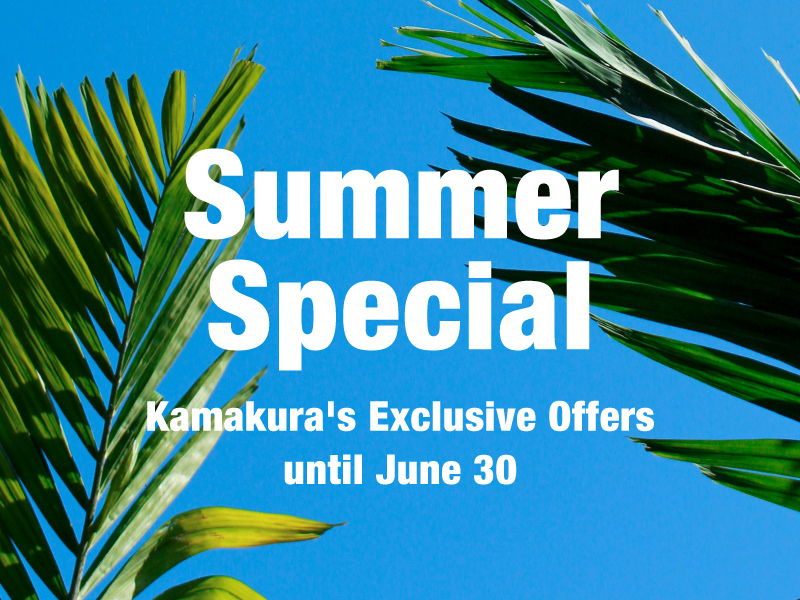 Text promoting summer special offers with palm leaves in the background.
