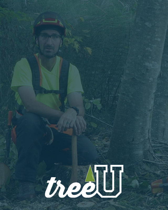 image of New!  TreeU Arborist Chainsaw Certification with Craig Bachmann