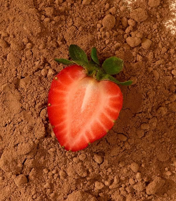 A sliced strawberry resting on cocoa powder.