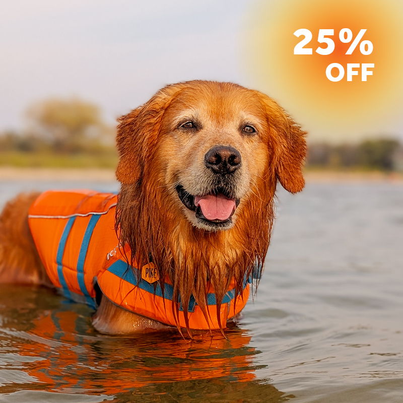 Orange tidal life vest with blue straps, 25% off.