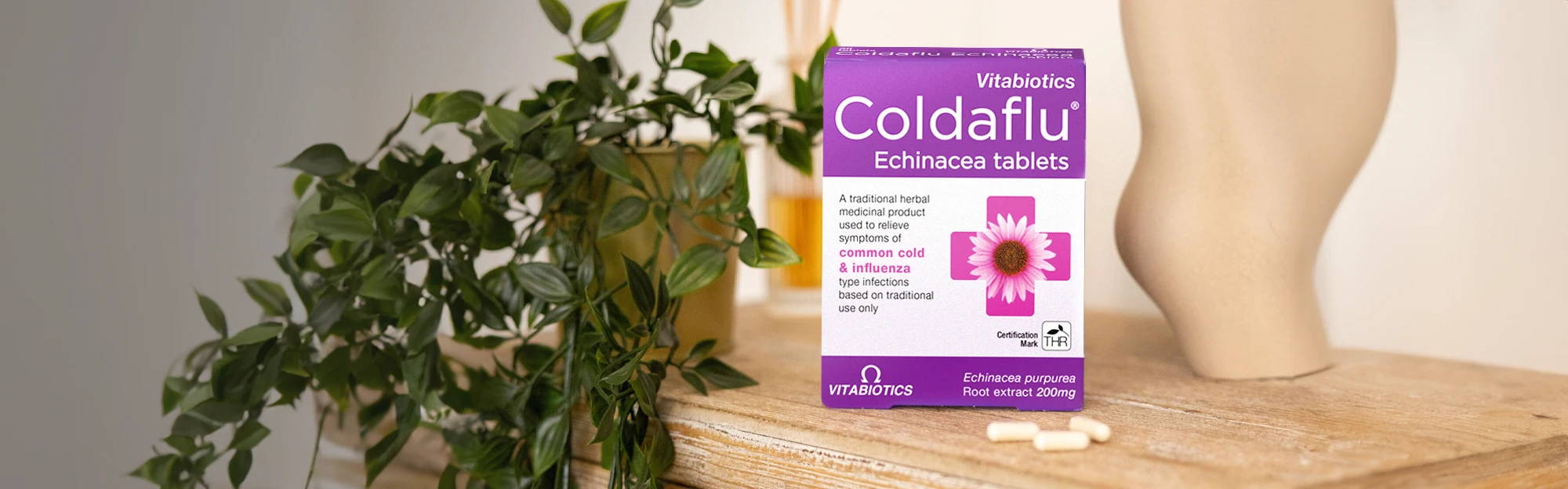  Echinacea Tablets Pack On A Sofa 
