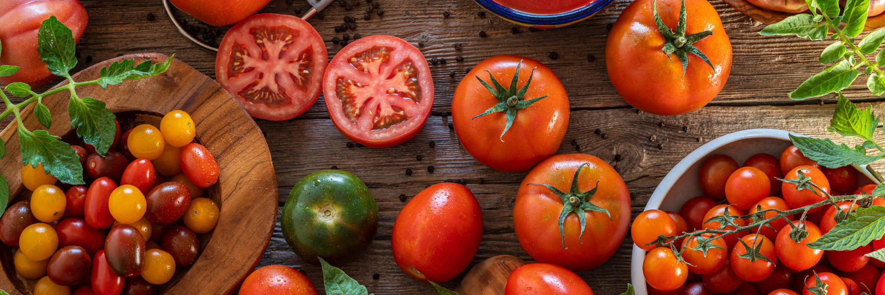 Wood table covered in various sizes and varieties of tomatoes