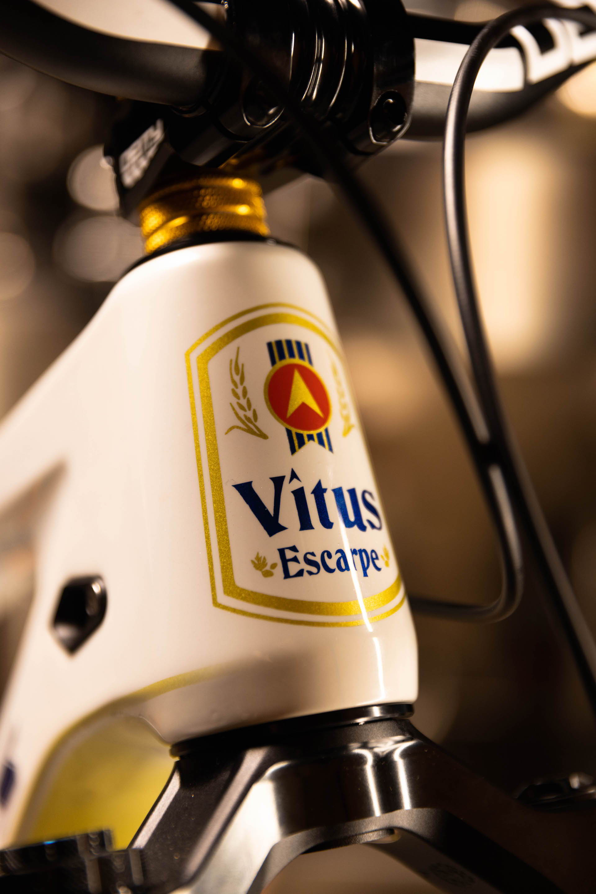 Kyle Strait's custom Vitus Escarpe 27 mountain bike.