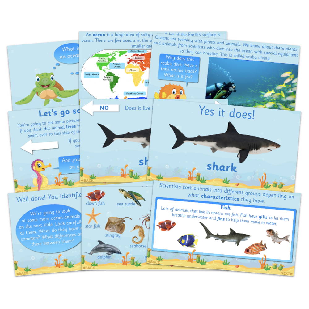 Examples of the ocean animals slide show presentation slides