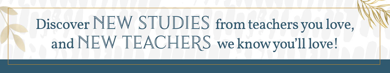 Discover new studies from teachers you love and new teachers we know you're love
