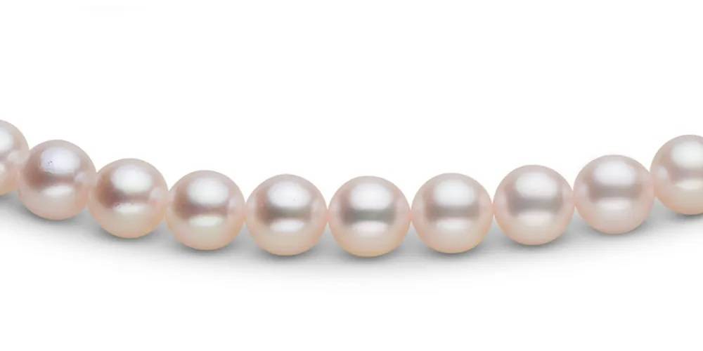 AAA Quality Akoya Pearls Example