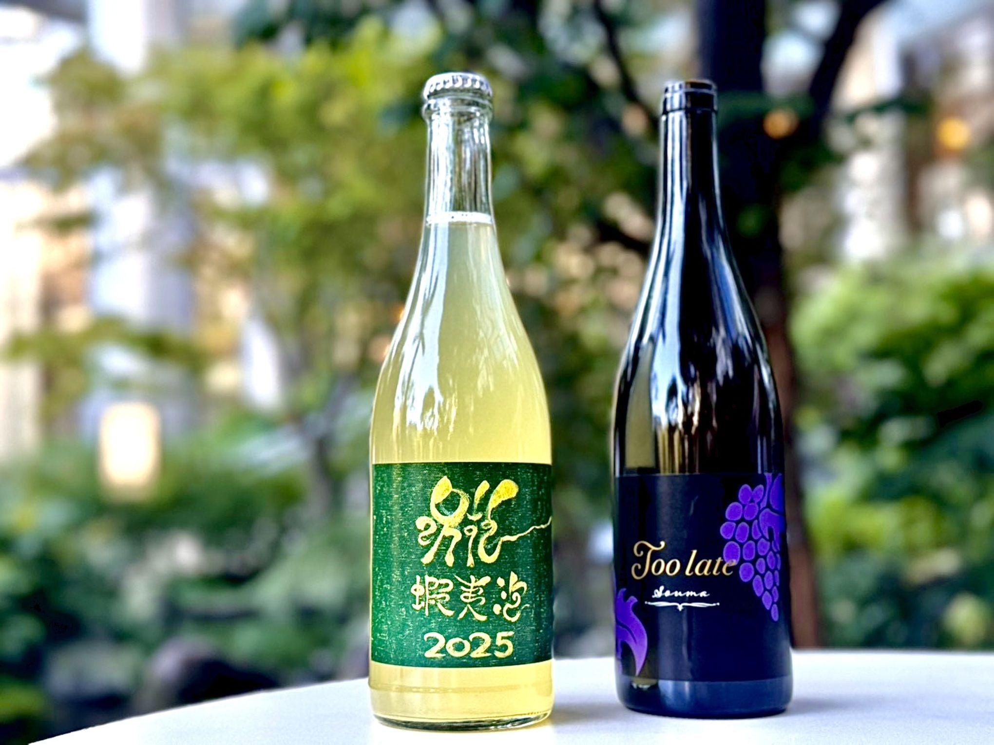 Two wine bottles on a table with a blurred green background.