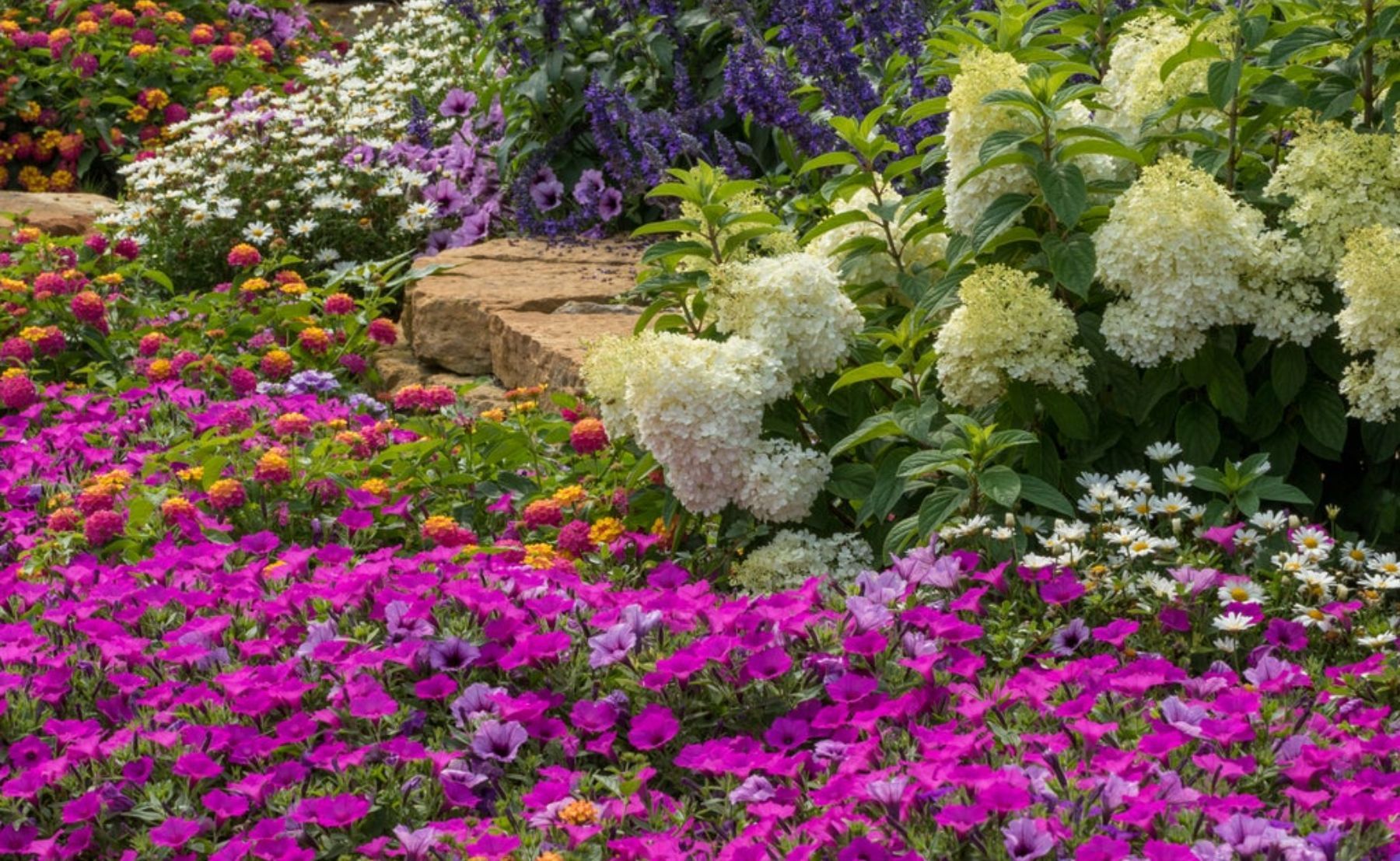 Proven Winners Display Garden