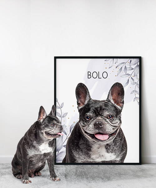 modern dog willow art on framed print