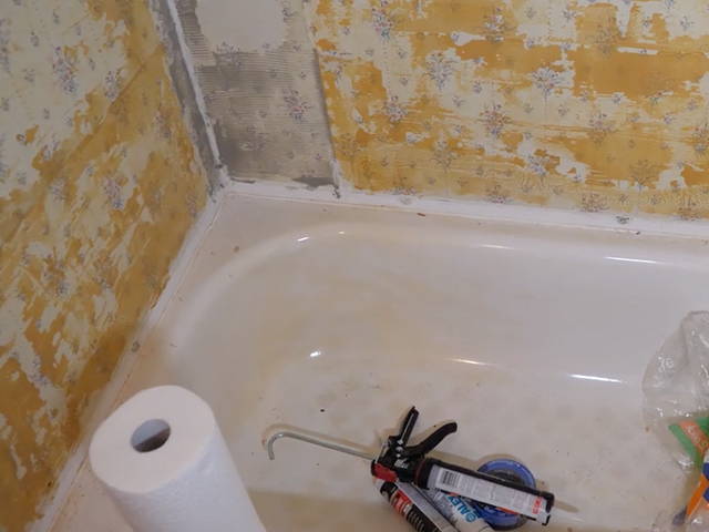 Prepare your shower: Remove greenboard sheetrock, inspect for mold, treat with mold removal spray. 