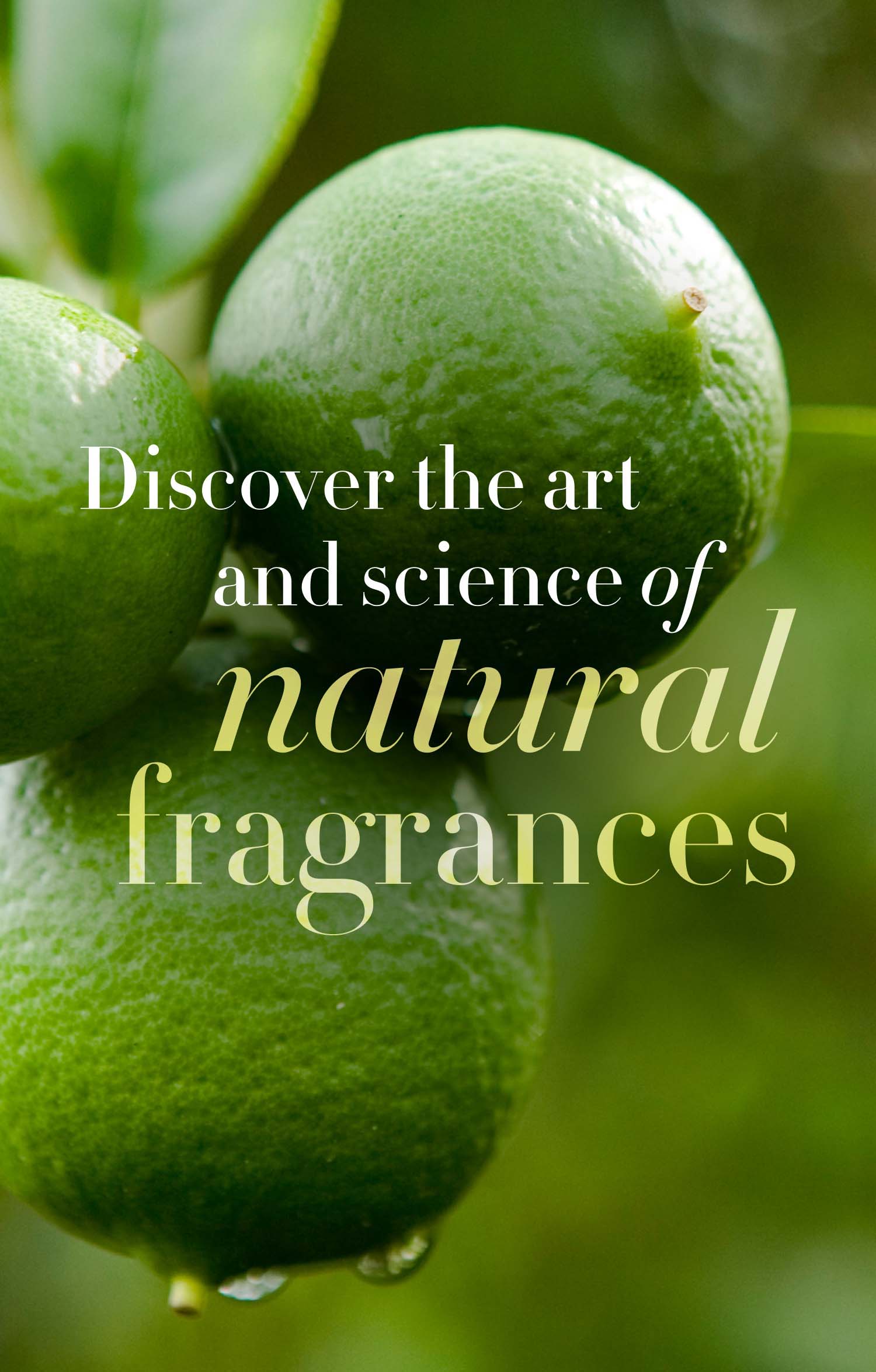natural fragrances