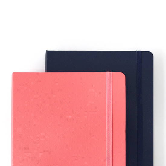 Elastic Band Closure - 2020 Prism dated weekly planner notebook