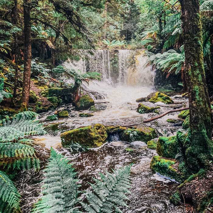 Three Falls Circuit (Horseshoe Falls and Lady Barron Falls) – Mount Field National Park, Tasmania