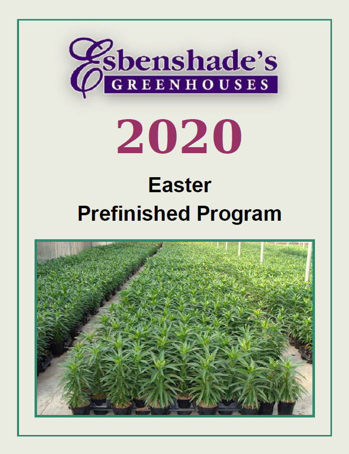 Wholesale Catalogs Brochures