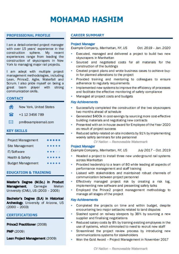 CV for project management