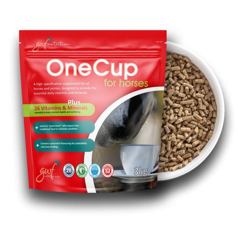 OneCup for Horses 3kg Pouch