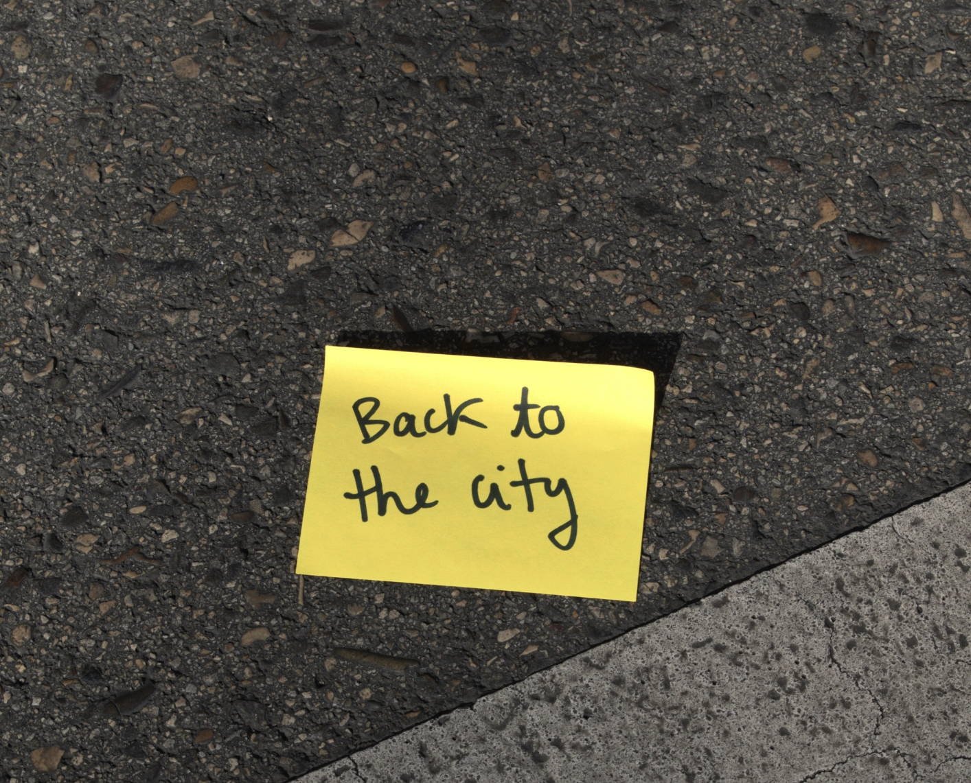 Back to the city | Tintoremus Sttudio