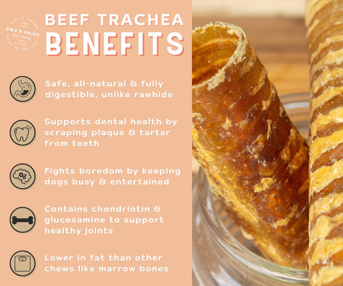 Beef trachea for dogs benefits list with a picture of trachea on the right.