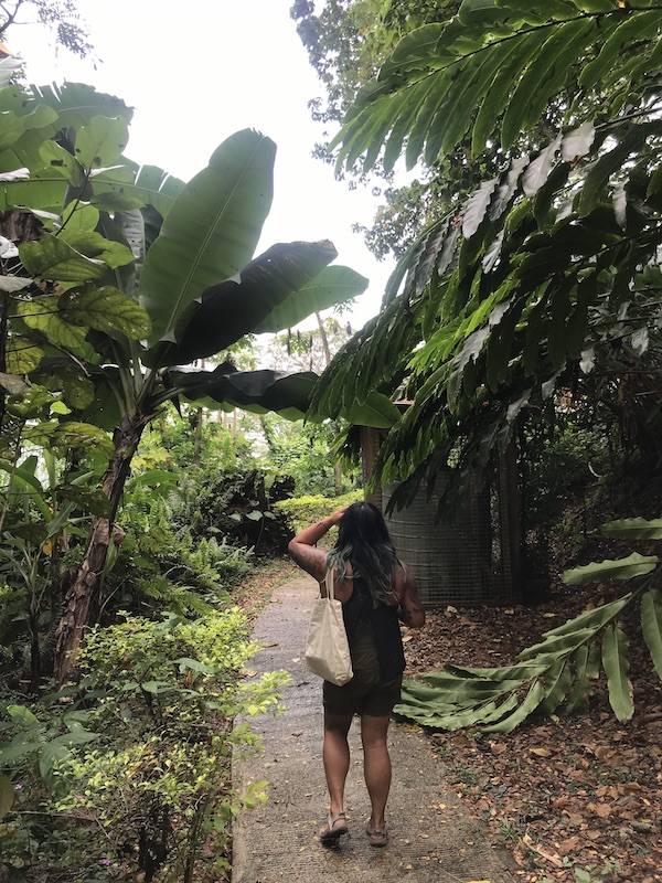 Angie walking through the jungle in Savusavu Fiji