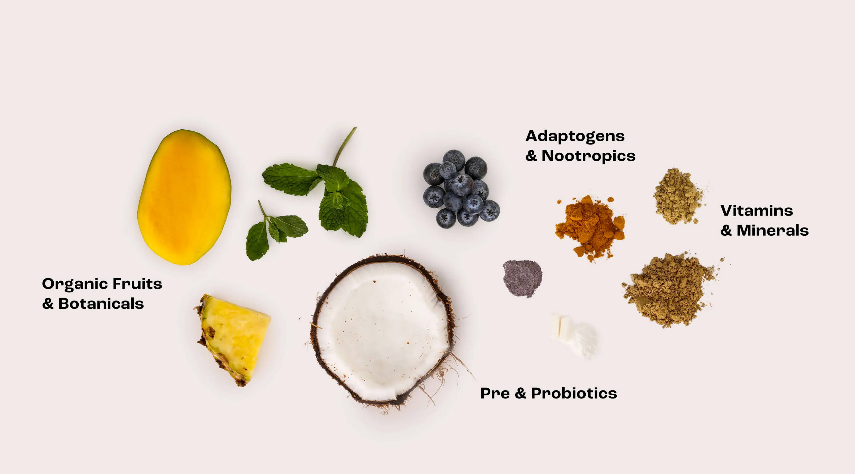 Ingredients for Wellness
