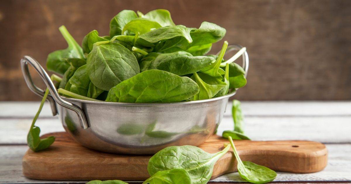 spinach is safe vegetable for dogs