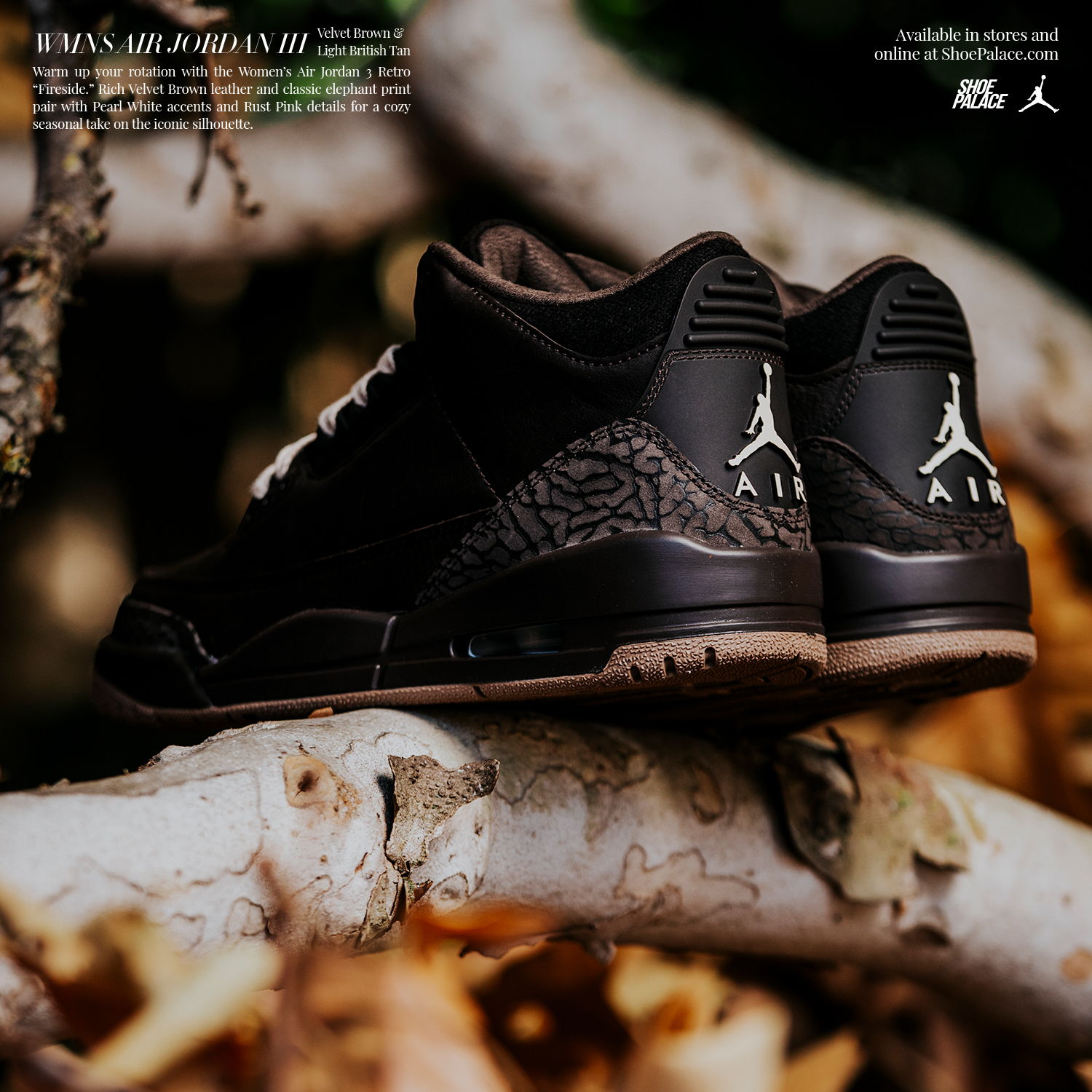 Air Jordan sneakers on a tree branch background.