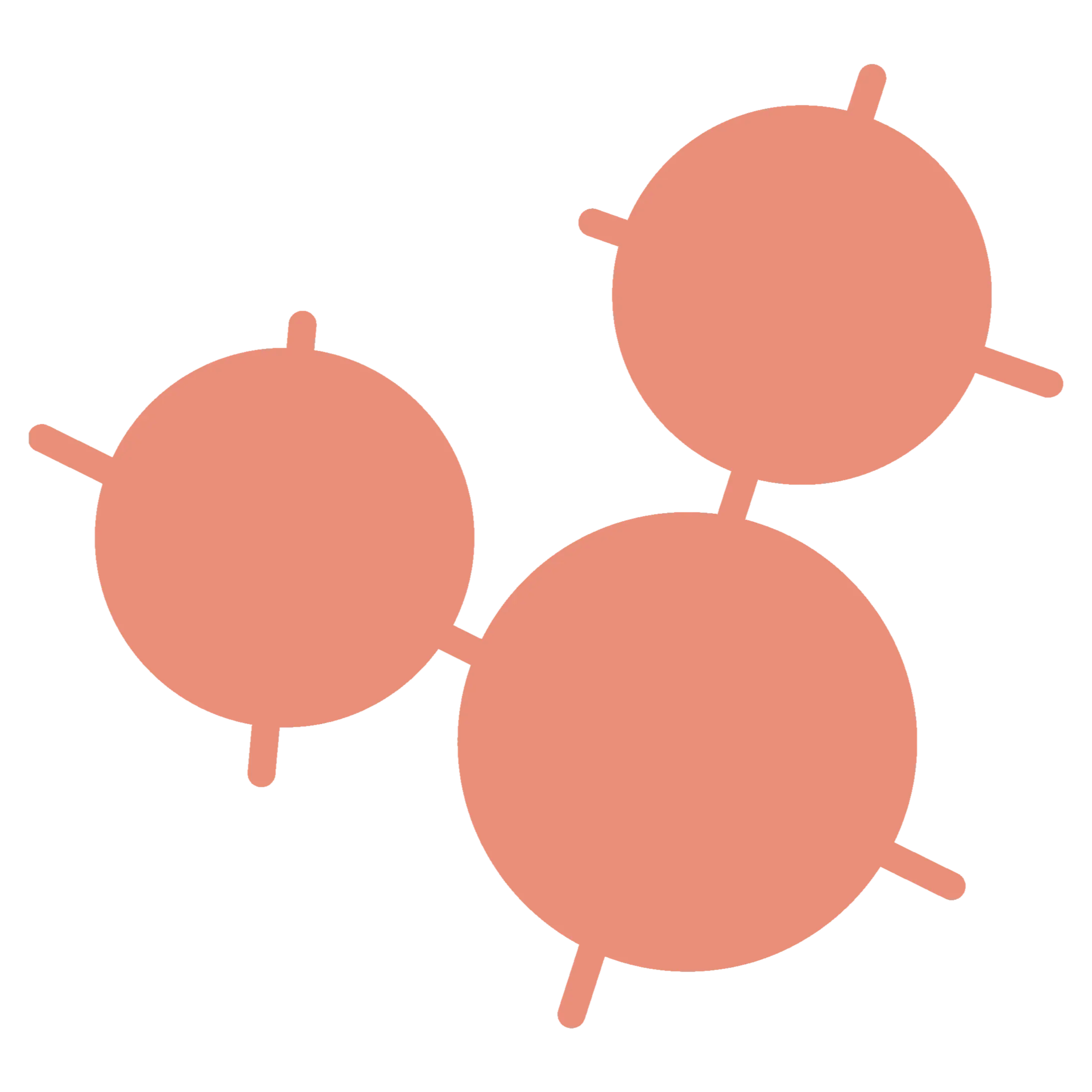 bionova molecule logo