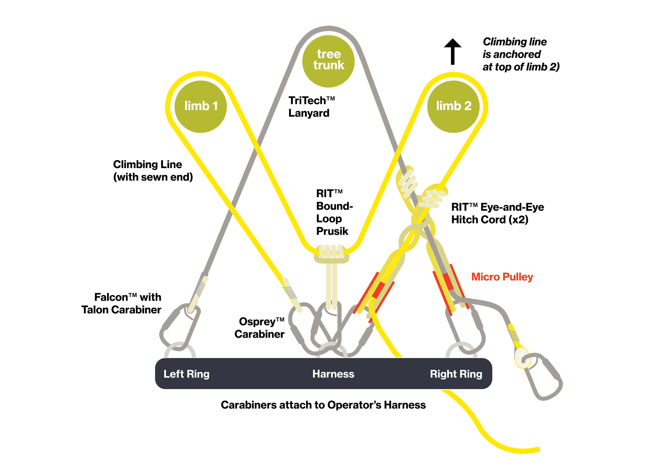 Carabiners attach to Operator's Harness