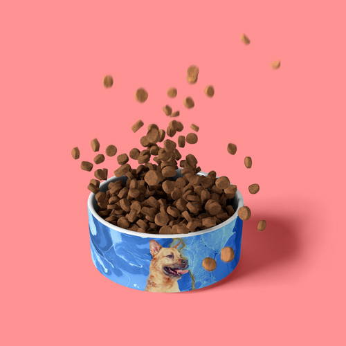 Food falling into custom dog printed pet bowl