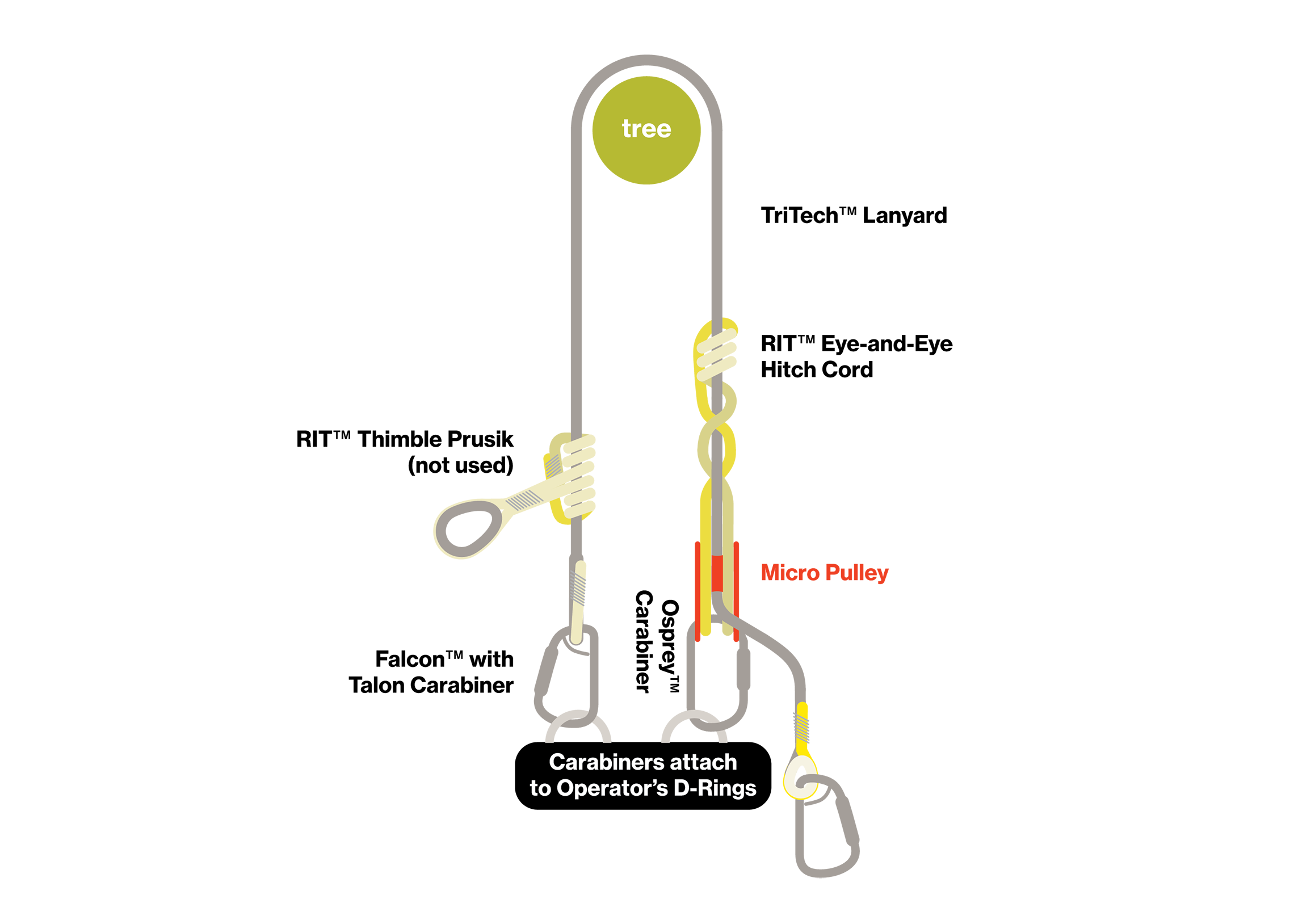 Carabiners attach to Operators D-rings