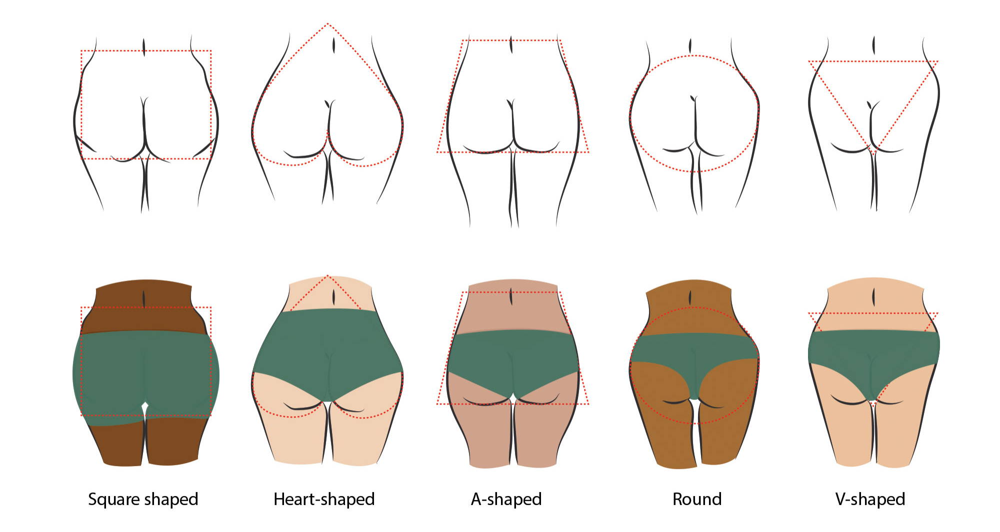 An illustration of the five general butt shapes. 