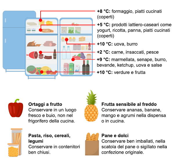 Info grafica circa la posizione ideale dei prodotti in frigorifero