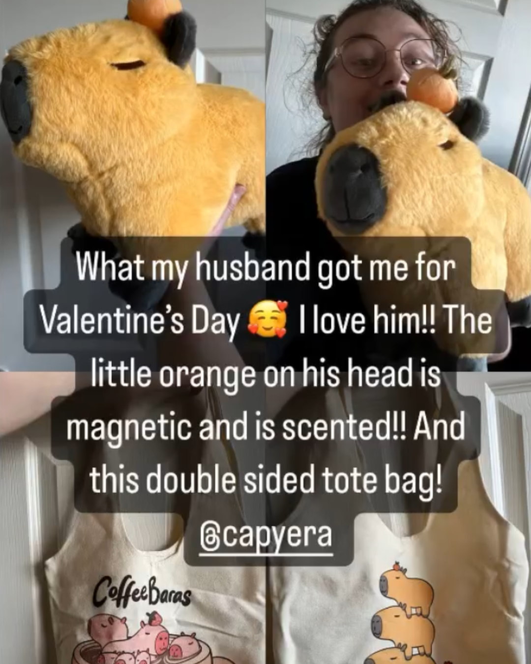 15" Capybara Plush