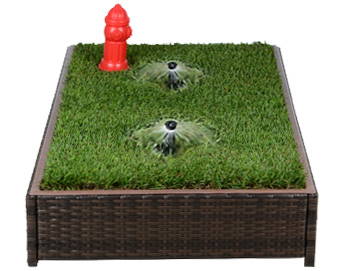 dog grass pee box