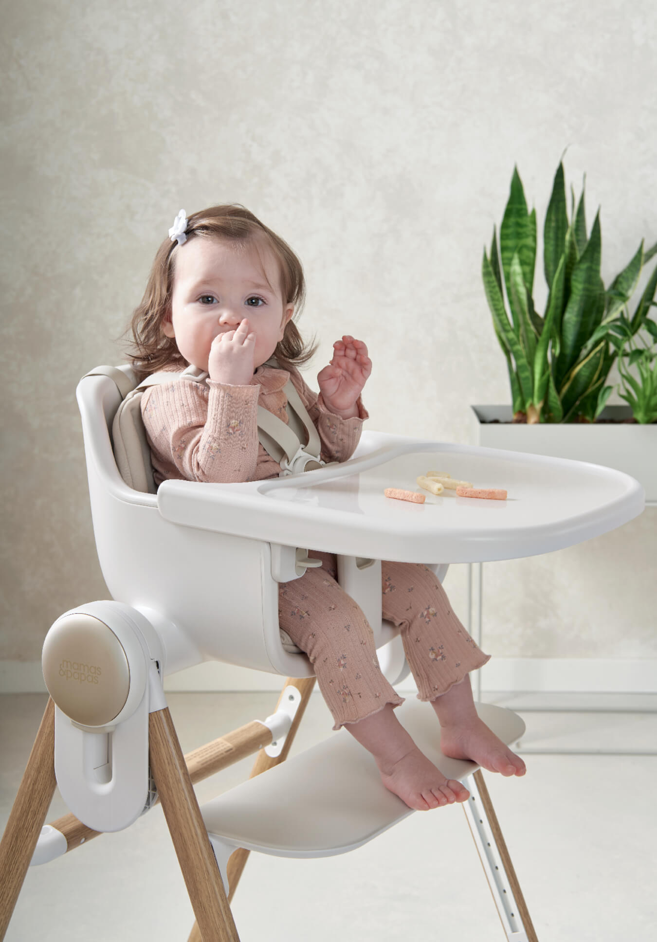 Baby sitting in a high chair, eating with a plant in the background.