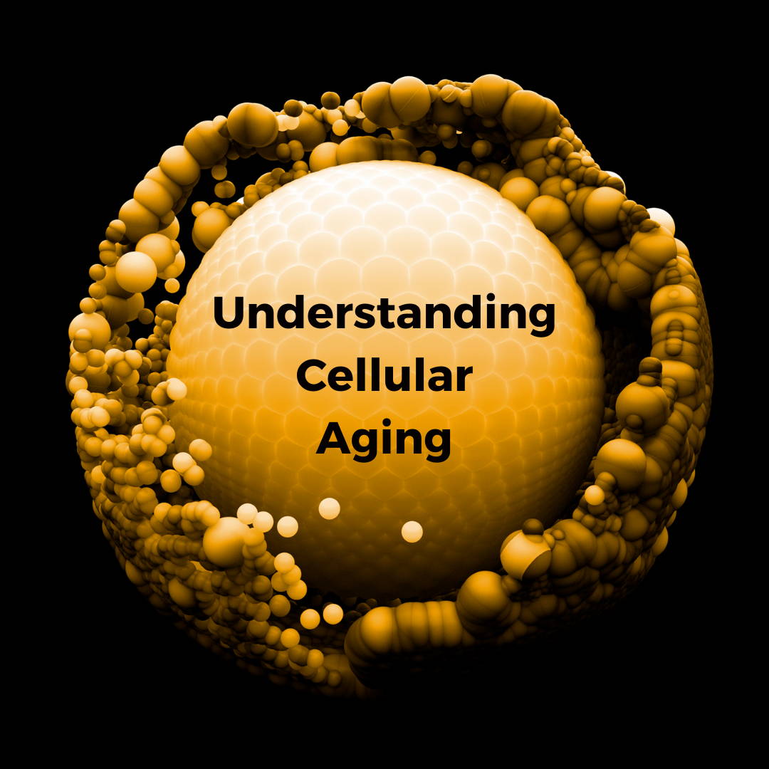 Understanding cellular aging