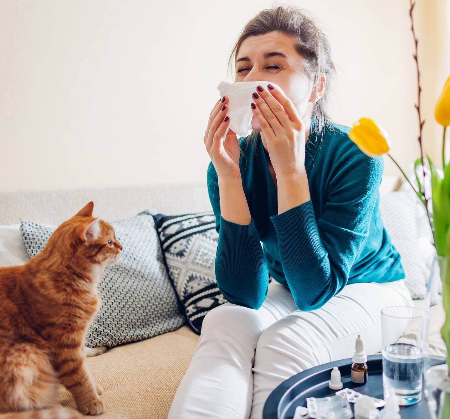 Junge Frau, die mit einer Katze mit rotem Fell auf dem Sofa sitzt und unter der typischen laufenden Nase und dem Niesen leidet, das von einer Katzenallergie verursacht wird.
