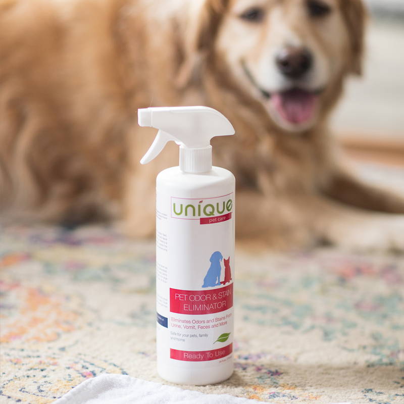 bottle of unique pet care pet odor and stain eliminator being used to remove stain on area rug
