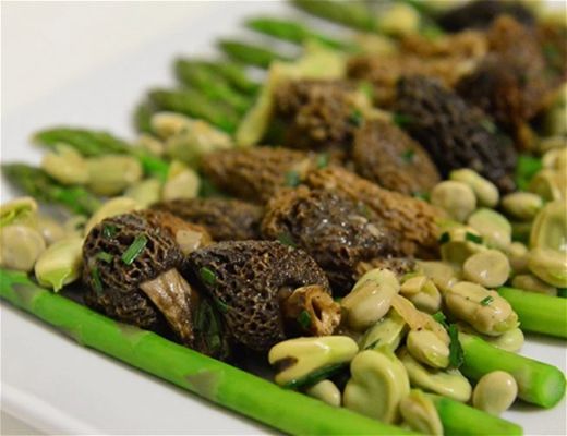 Asparagus with morel mushrooms and fava beans on a plate.