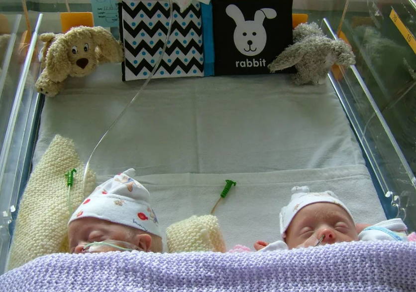 Bliss story - premature twins 